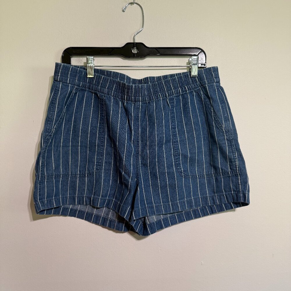 J. Crew Blue Pinstripe Drawstring Shorts